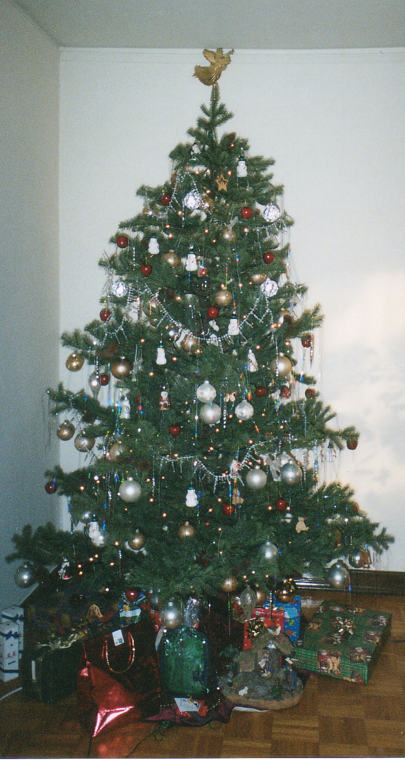 christmas.jpg